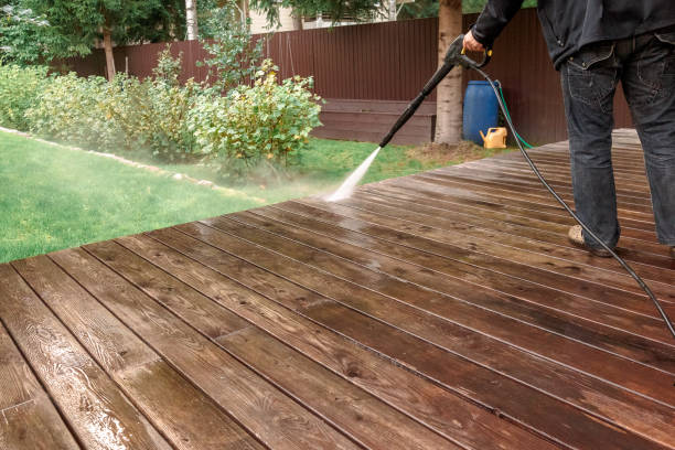 Professional Pressure washing in Fennville, MI